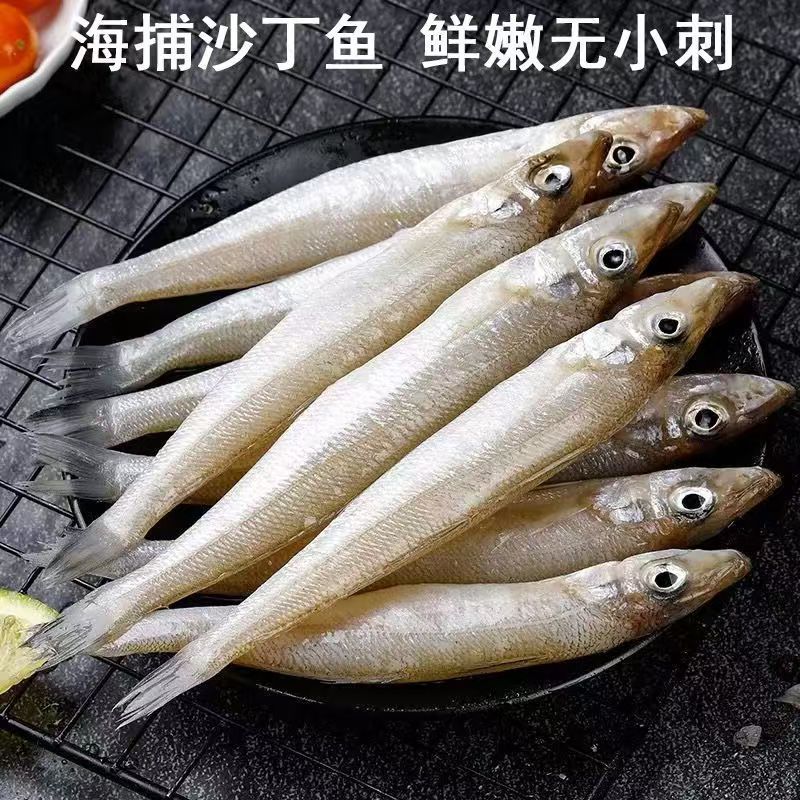 沙丁鱼