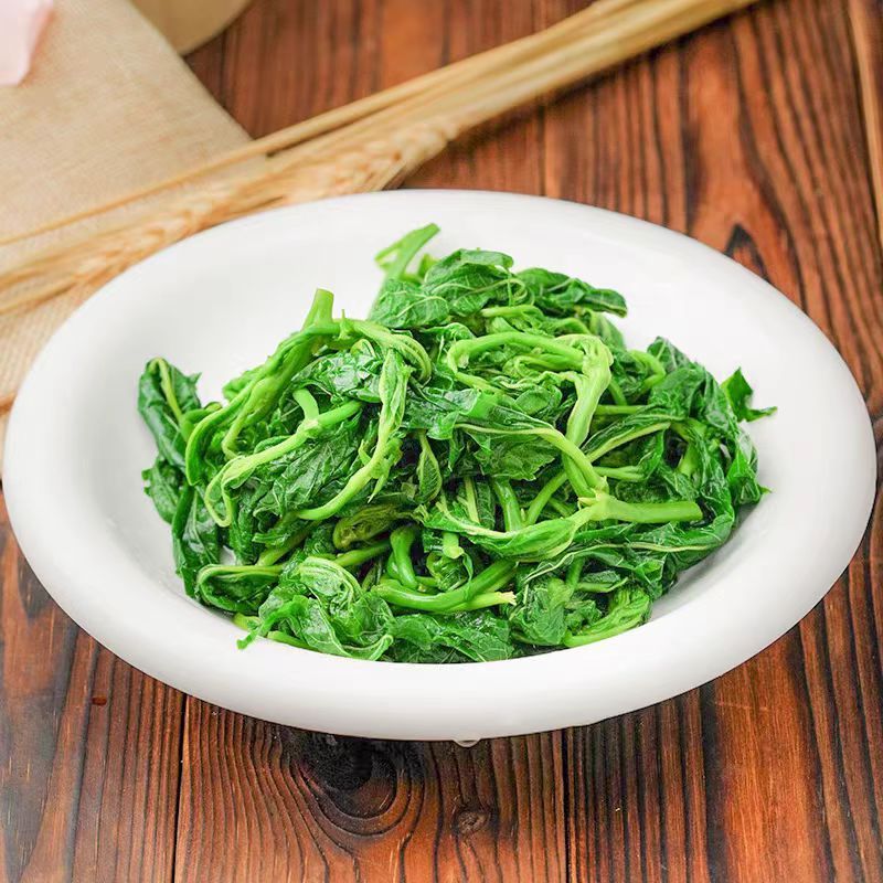 桑芽